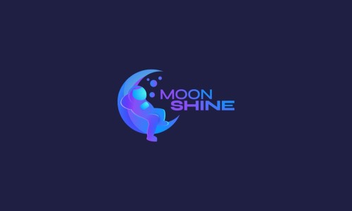 NoInput: простой вывод изображения в MoonShine, на примере Laravel Socialite